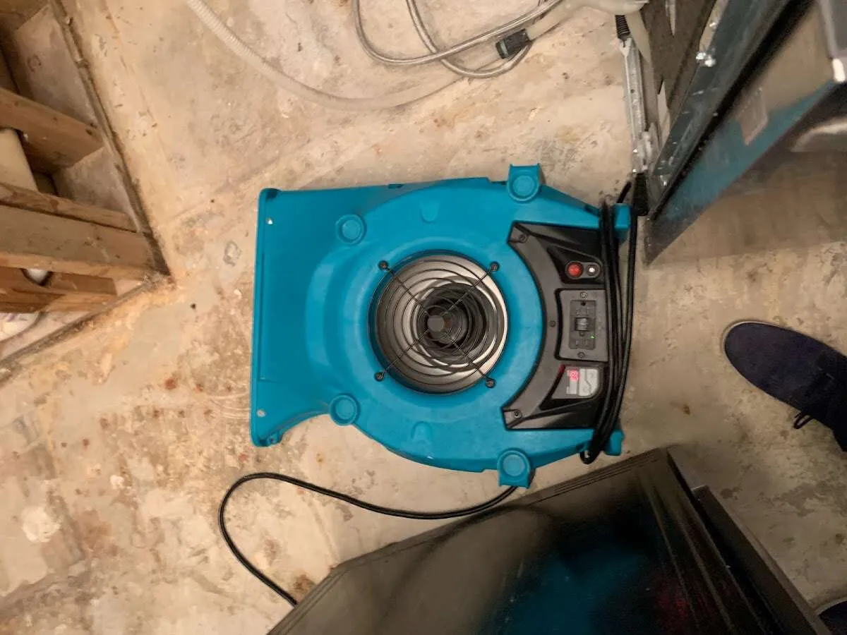 Air mover drying equipment for Mold Remediation & Removal in Alum Rock